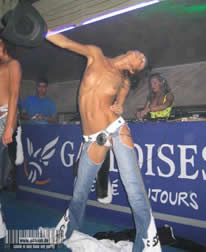 gaulois