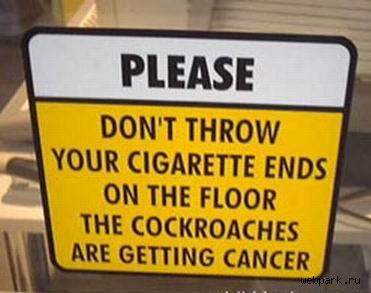 tarakan кукарача cancer