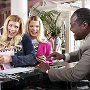 white chicks