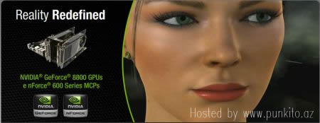 Adrianne Curry nVidia GeForce 8800